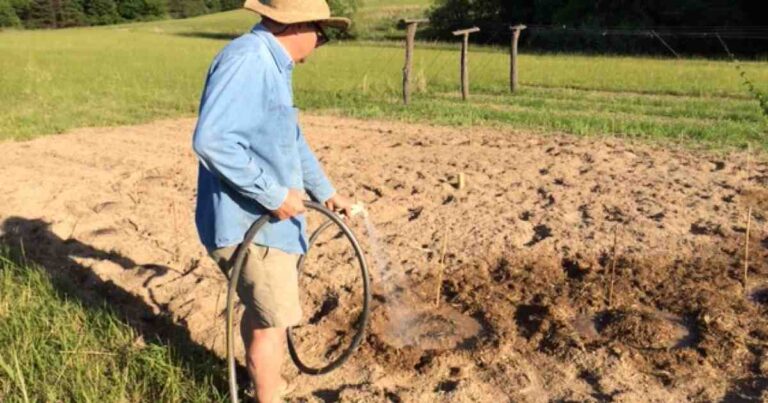 WV hops on solar power bandwagon