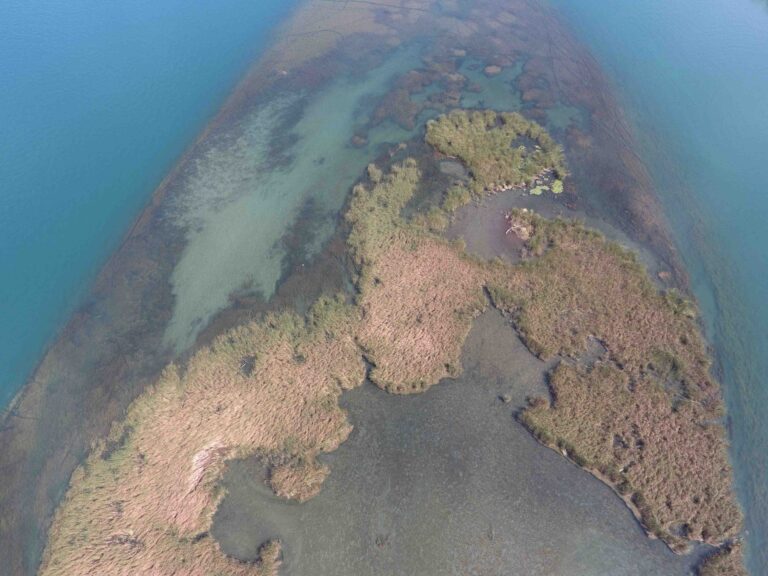 Grand Island School Calendar Change Sparks Controversy | Grand Island Local News | theindependent.com