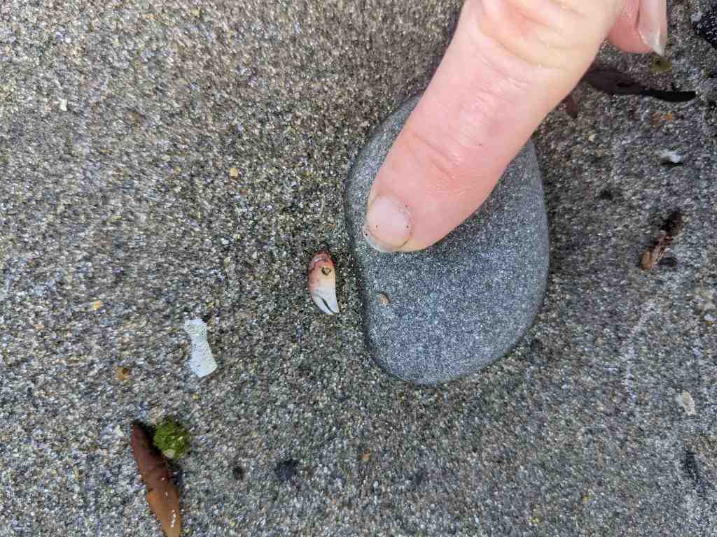 Children's researchers gave the new, $8.5 million Panorama Park two thumbs up