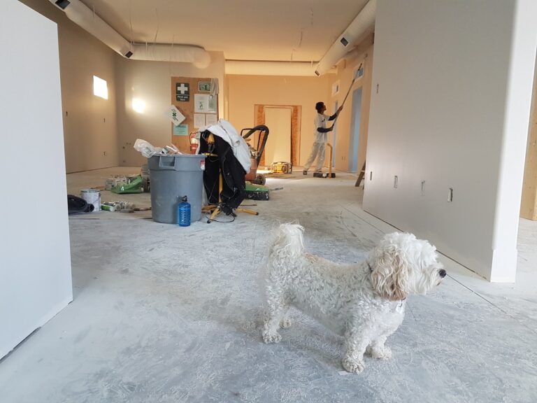 Home Improvement